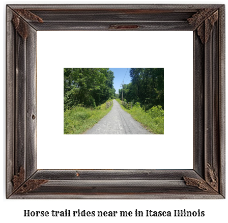 horse trail rides near me in Itasca, Illinois